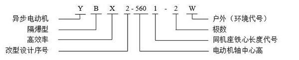 西安泰富西瑪YB2系列高壓防爆電機(jī)型號(hào)說明